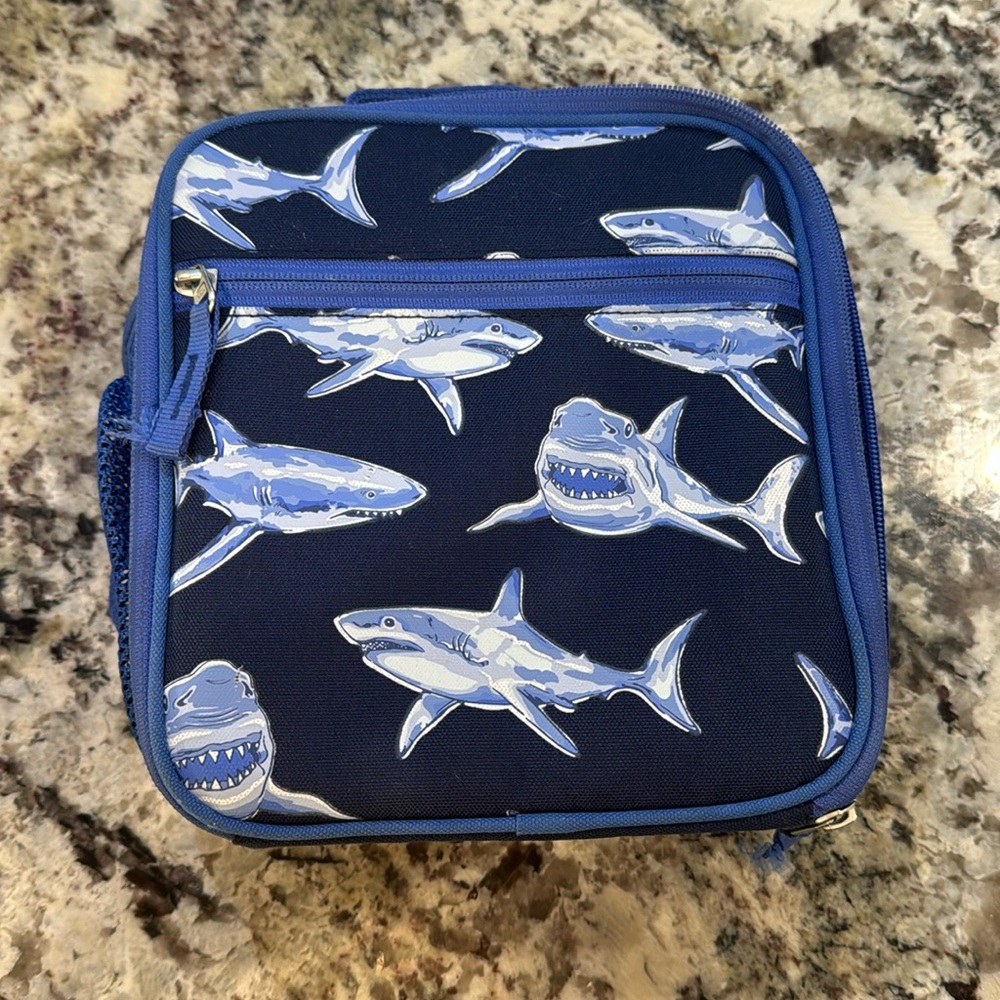 pottery barn kids shark lunch box